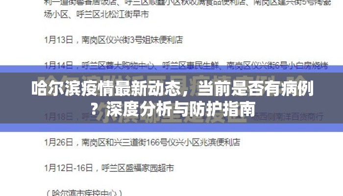 哈尔滨疫情最新动态，当前是否有病例？深度分析与防护指南