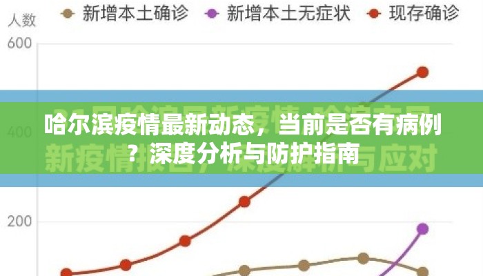 哈尔滨疫情最新动态，当前是否有病例？深度分析与防护指南