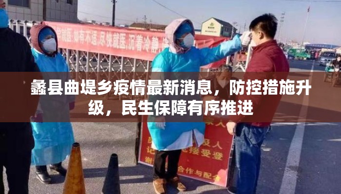 蠡县曲堤乡疫情最新消息，防控措施升级，民生保障有序推进