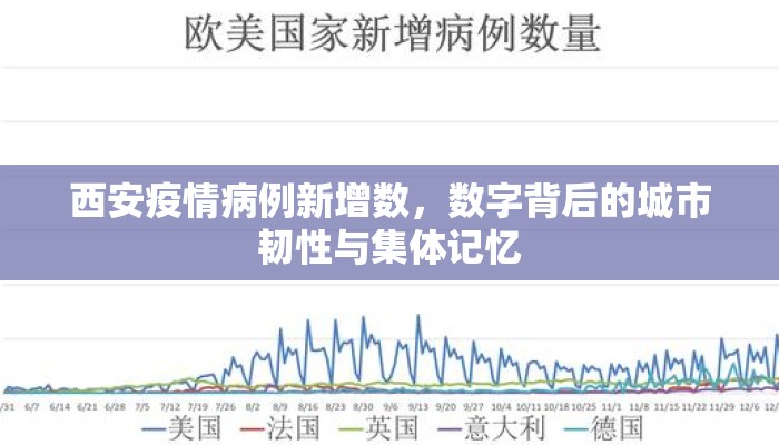 西安疫情病例新增数，数字背后的城市韧性与集体记忆