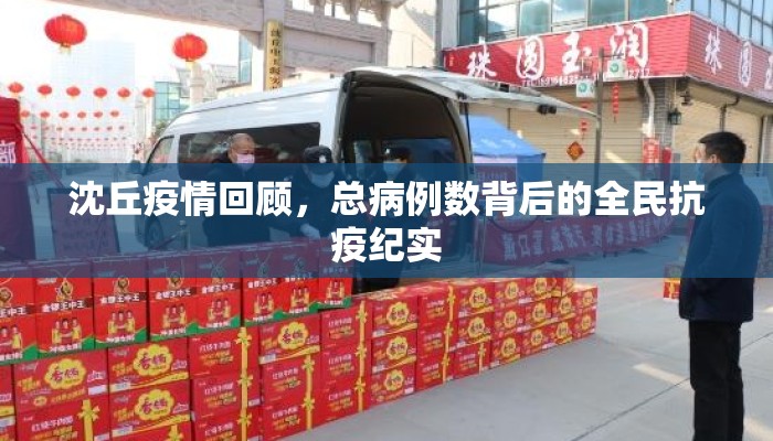 沈丘疫情回顾，总病例数背后的全民抗疫纪实