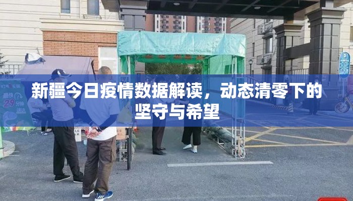 新疆今日疫情数据解读，动态清零下的坚守与希望