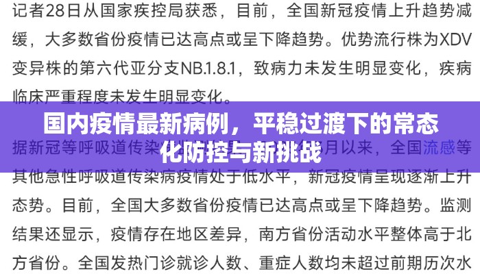 国内疫情最新病例，平稳过渡下的常态化防控与新挑战