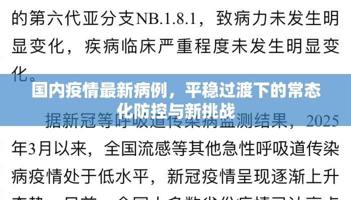 国内疫情最新病例，平稳过渡下的常态化防控与新挑战