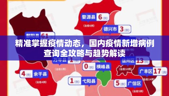 精准掌握疫情动态，国内疫情新增病例查询全攻略与趋势解读