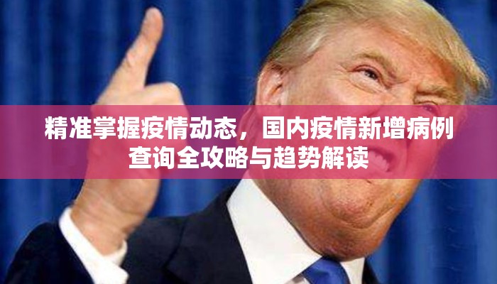 精准掌握疫情动态，国内疫情新增病例查询全攻略与趋势解读