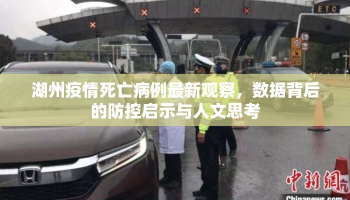 湖州疫情死亡病例最新观察，数据背后的防控启示与人文思考