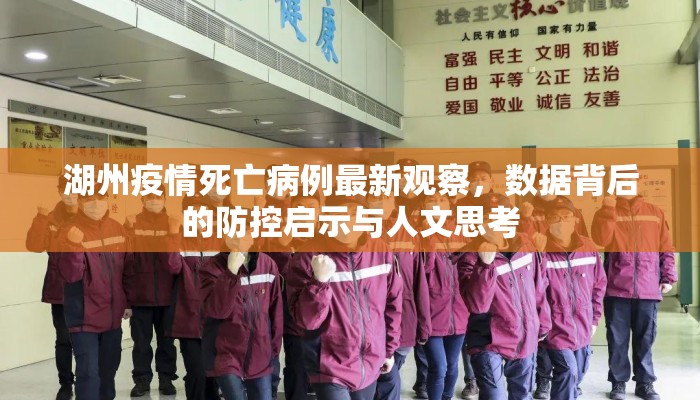 湖州疫情死亡病例最新观察，数据背后的防控启示与人文思考
