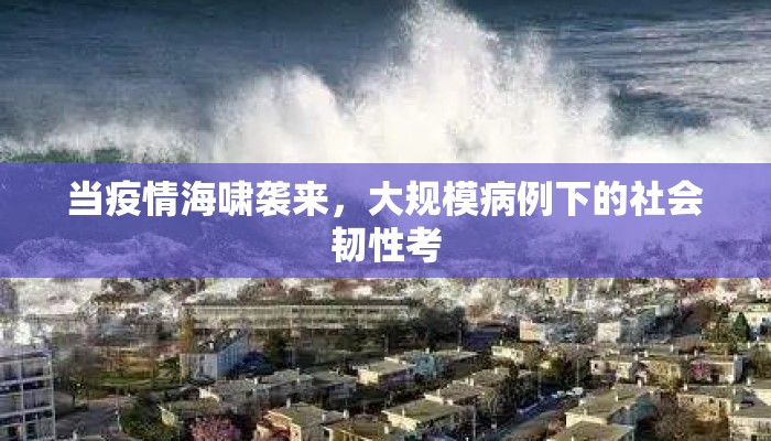 当疫情海啸袭来，大规模病例下的社会韧性考