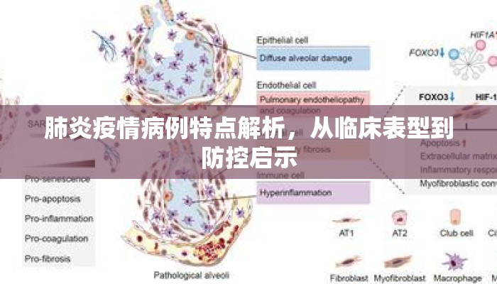 肺炎疫情病例特点解析，从临床表型到防控启示