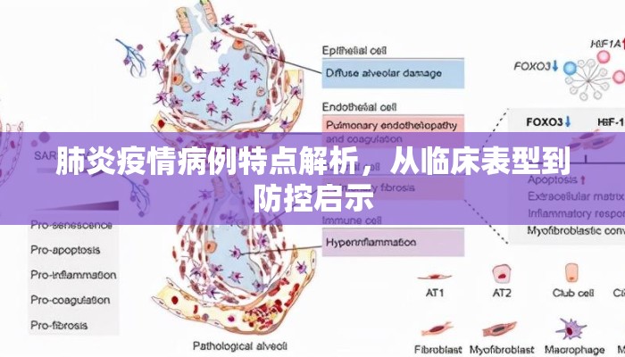 肺炎疫情病例特点解析，从临床表型到防控启示