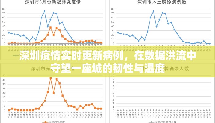 深圳疫情实时更新病例，在数据洪流中守望一座城的韧性与温度