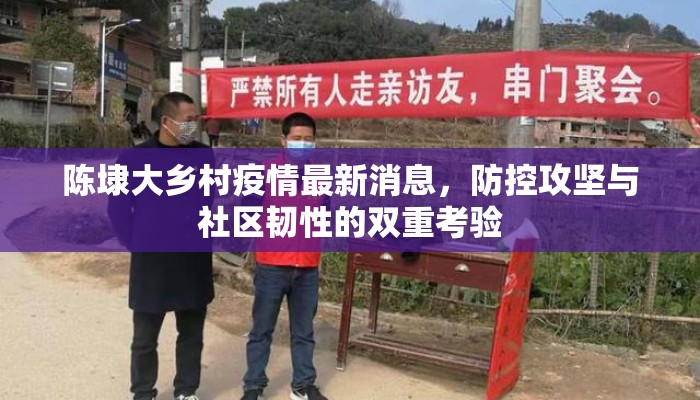 陈埭大乡村疫情最新消息，防控攻坚与社区韧性的双重考验
