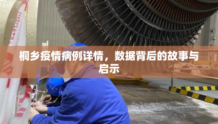 桐乡疫情病例详情，数据背后的故事与启示