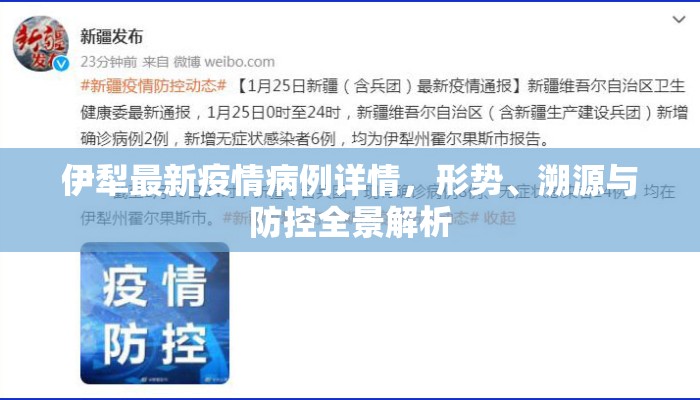 伊犁最新疫情病例详情，形势、溯源与防控全景解析