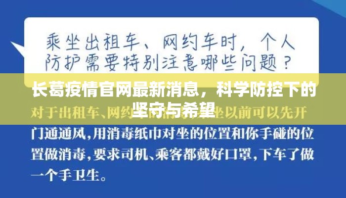 长葛疫情官网最新消息，科学防控下的坚守与希望