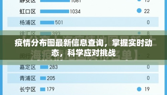 疫情分布图最新信息查询，掌握实时动态，科学应对挑战