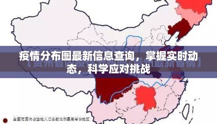 疫情分布图最新信息查询，掌握实时动态，科学应对挑战