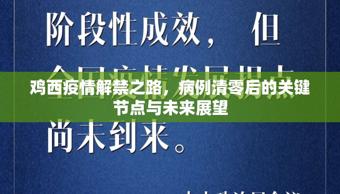 鸡西疫情解禁之路，病例清零后的关键节点与未来展望