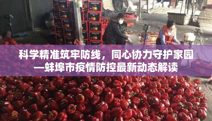 科学精准筑牢防线，同心协力守护家园—蚌埠市疫情防控最新动态解读