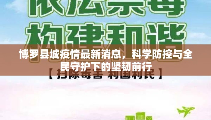 博罗县城疫情最新消息，科学防控与全民守护下的坚韧前行