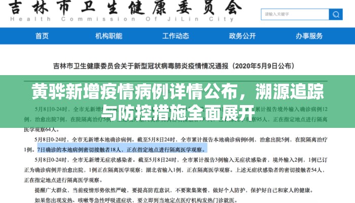 黄骅新增疫情病例详情公布，溯源追踪与防控措施全面展开
