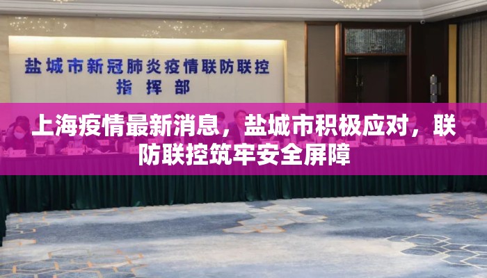 上海疫情最新消息，盐城市积极应对，联防联控筑牢安全屏障