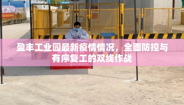 盈丰工业园最新疫情情况，全面防控与有序复工的双线作战