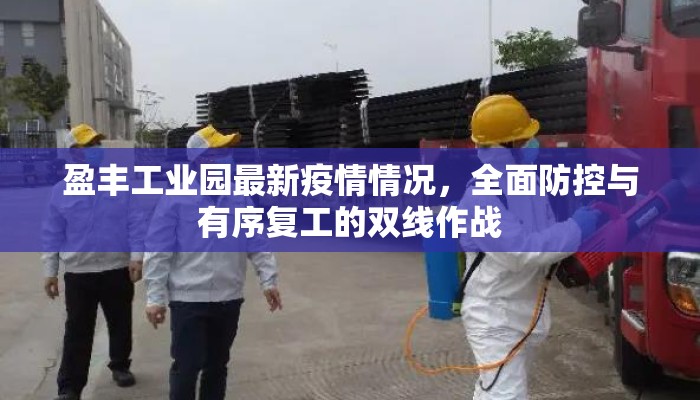 盈丰工业园最新疫情情况，全面防控与有序复工的双线作战