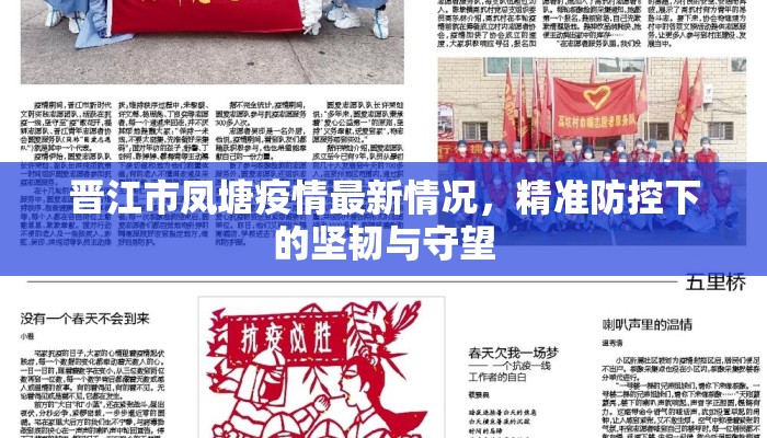 晋江市凤塘疫情最新情况，精准防控下的坚韧与守望