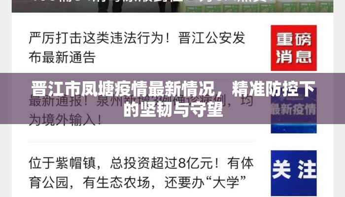 晋江市凤塘疫情最新情况，精准防控下的坚韧与守望