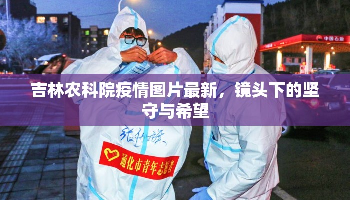吉林农科院疫情图片最新，镜头下的坚守与希望