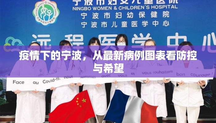 疫情下的宁波，从最新病例图表看防控与希望