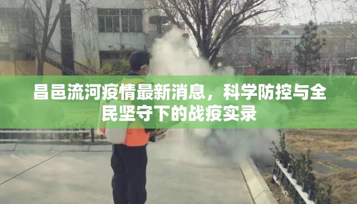 昌邑流河疫情最新消息，科学防控与全民坚守下的战疫实录
