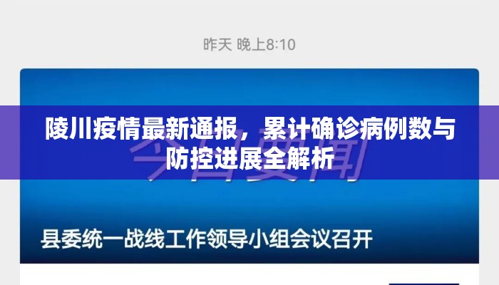 陵川疫情最新通报，累计确诊病例数与防控进展全解析