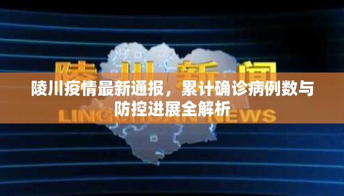 陵川疫情最新通报，累计确诊病例数与防控进展全解析