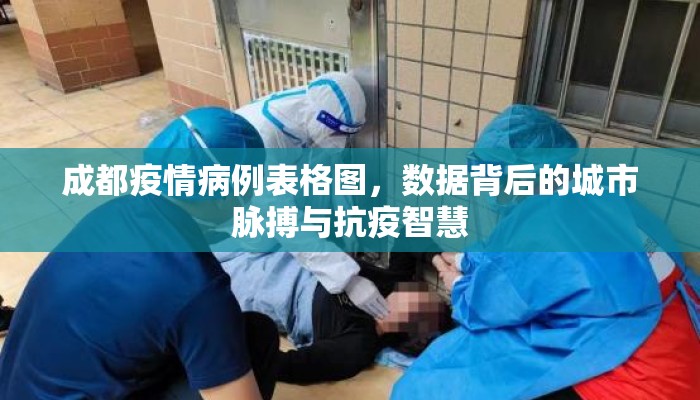 成都疫情病例表格图，数据背后的城市脉搏与抗疫智慧