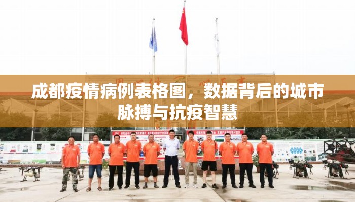 成都疫情病例表格图，数据背后的城市脉搏与抗疫智慧
