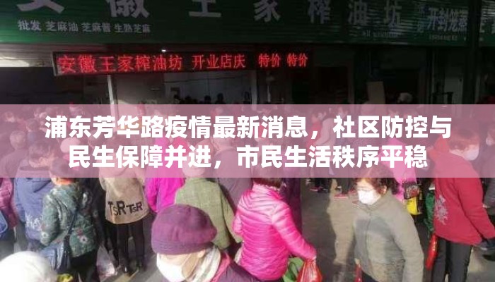 浦东芳华路疫情最新消息，社区防控与民生保障并进，市民生活秩序平稳