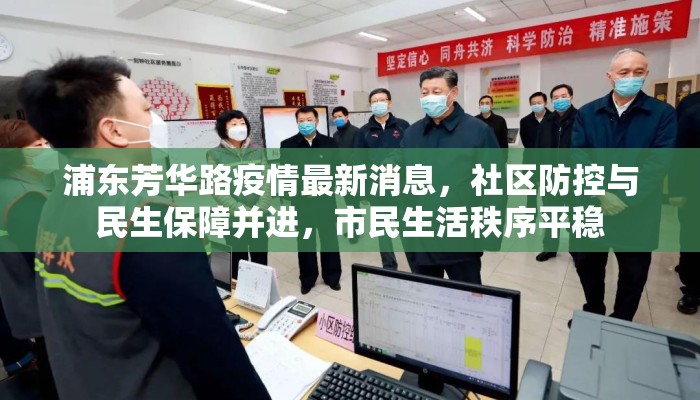浦东芳华路疫情最新消息，社区防控与民生保障并进，市民生活秩序平稳