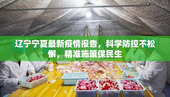 辽宁宁夏最新疫情报告，科学防控不松懈，精准施策保民生