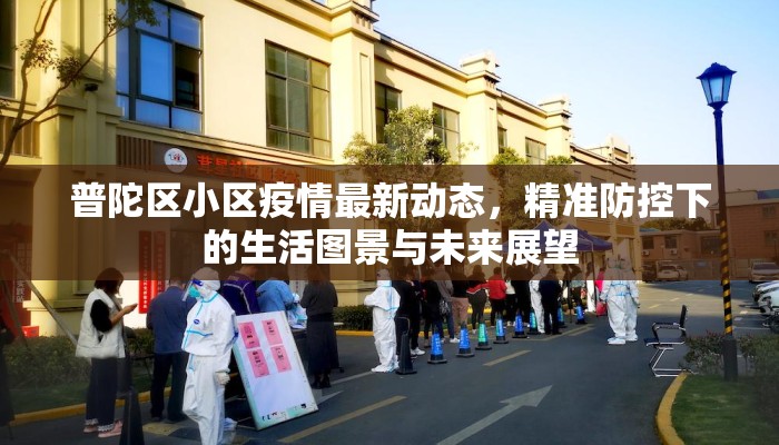 普陀区小区疫情最新动态，精准防控下的生活图景与未来展望