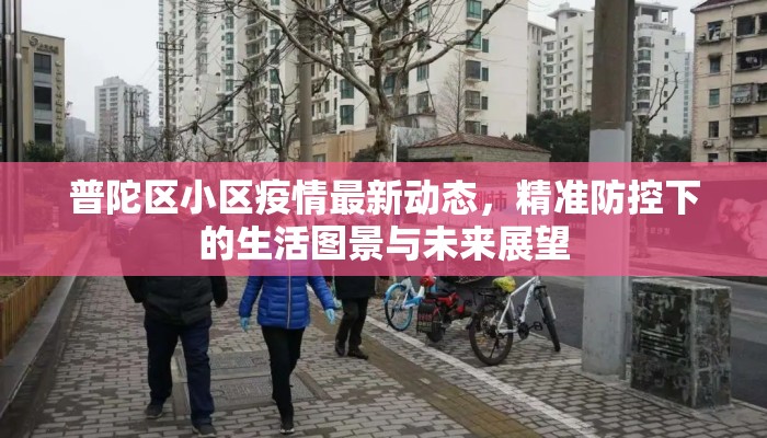 普陀区小区疫情最新动态，精准防控下的生活图景与未来展望