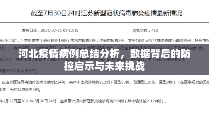 河北疫情病例总结分析，数据背后的防控启示与未来挑战