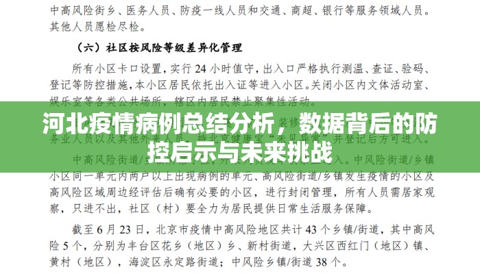 河北疫情病例总结分析，数据背后的防控启示与未来挑战