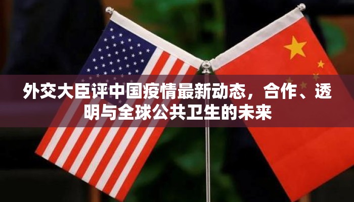 外交大臣评中国疫情最新动态，合作、透明与全球公共卫生的未来