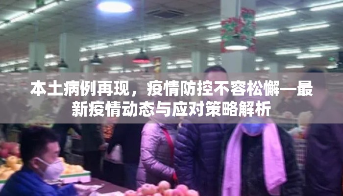本土病例再现，疫情防控不容松懈—最新疫情动态与应对策略解析