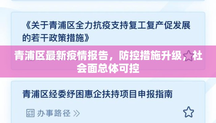 青浦区最新疫情报告，防控措施升级，社会面总体可控