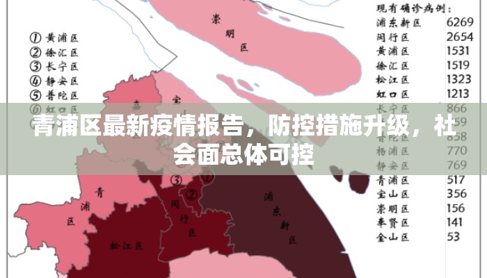 青浦区最新疫情报告，防控措施升级，社会面总体可控