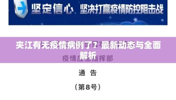 夹江有无疫情病例了？最新动态与全面解析